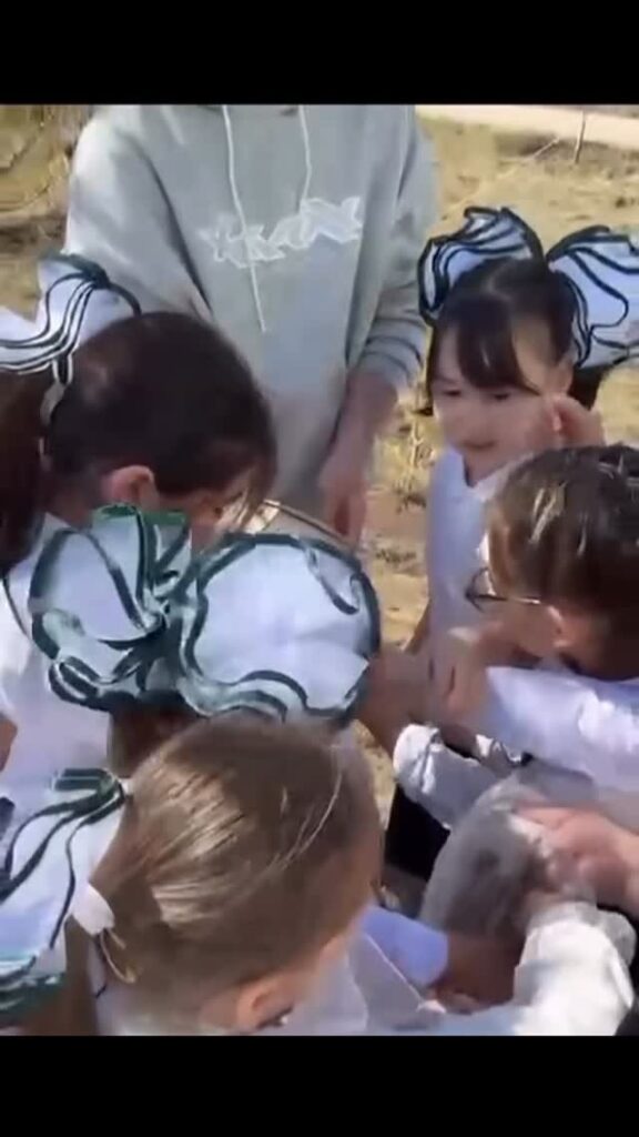 Көктемгі мейірім апталығы аясында мектепте Мектеп Парламенті мүшелерінің ұйымдастыруымен 2–6&hellip;