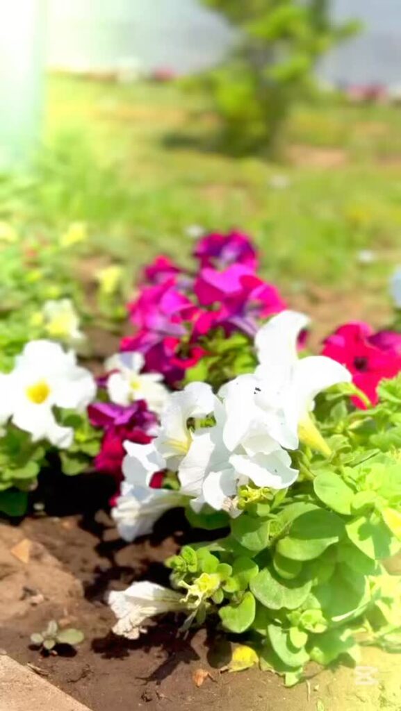 ✨ Тарихқа айналған ерекше күн! ✨ 18 маусым күні мектептің&hellip;
